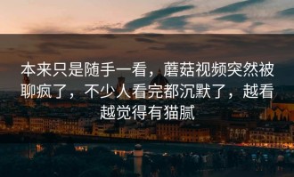 本来只是随手一看，蘑菇视频突然被聊疯了，不少人看完都沉默了，越看越觉得有猫腻