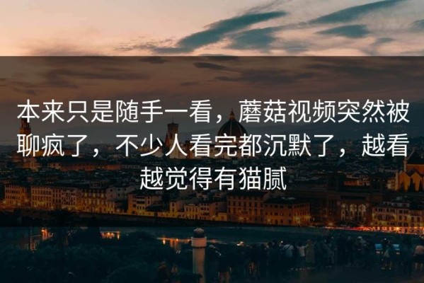 本来只是随手一看，蘑菇视频突然被聊疯了，不少人看完都沉默了，越看越觉得有猫腻