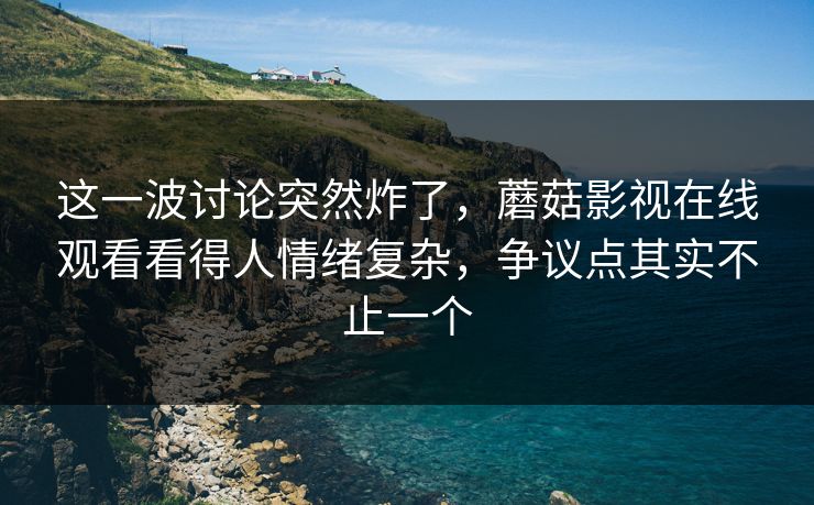 这一波讨论突然炸了，蘑菇影视在线观看看得人情绪复杂，争议点其实不止一个