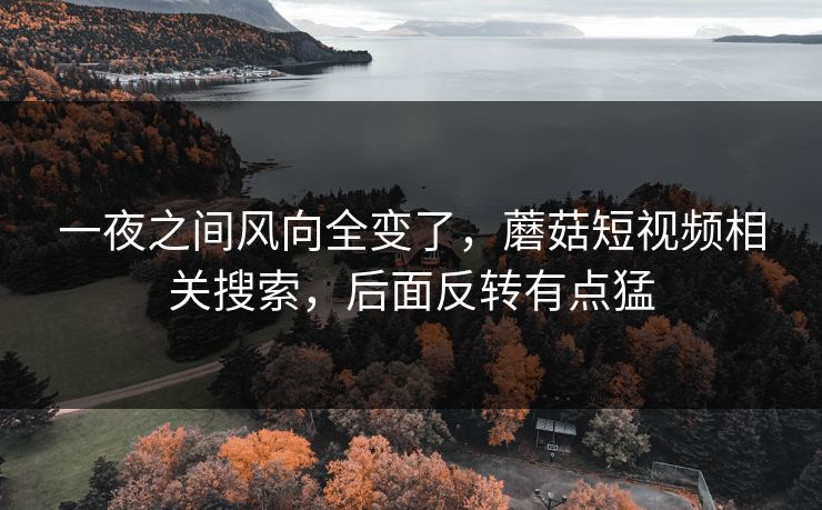 一夜之间风向全变了，蘑菇短视频相关搜索，后面反转有点猛
