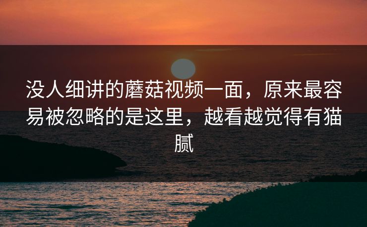 没人细讲的蘑菇视频一面，原来最容易被忽略的是这里，越看越觉得有猫腻