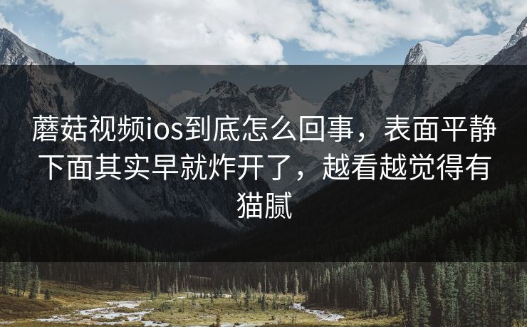 蘑菇视频ios到底怎么回事，表面平静下面其实早就炸开了，越看越觉得有猫腻