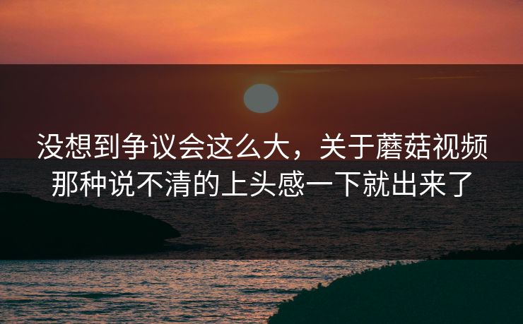 没想到争议会这么大，关于蘑菇视频那种说不清的上头感一下就出来了