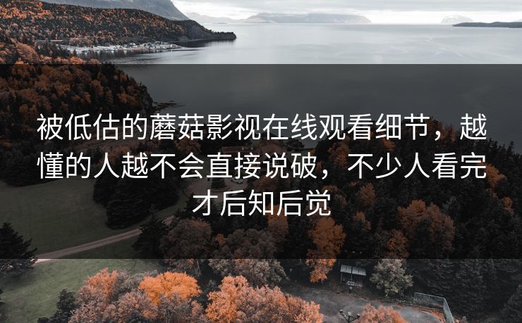 被低估的蘑菇影视在线观看细节,越懂的人越不会直接说破,不少人看完才后知后觉 被低估的蘑菇影视在线观看细节,越懂的人越不会直接说破,不少人看完才后知后觉