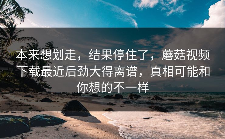 本来想划走，结果停住了，蘑菇视频下载最近后劲大得离谱，真相可能和你想的不一样