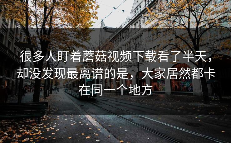 很多人盯着蘑菇视频下载看了半天，却没发现最离谱的是，大家居然都卡在同一个地方